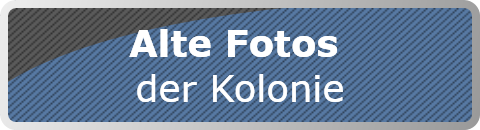 Alte Fotos 